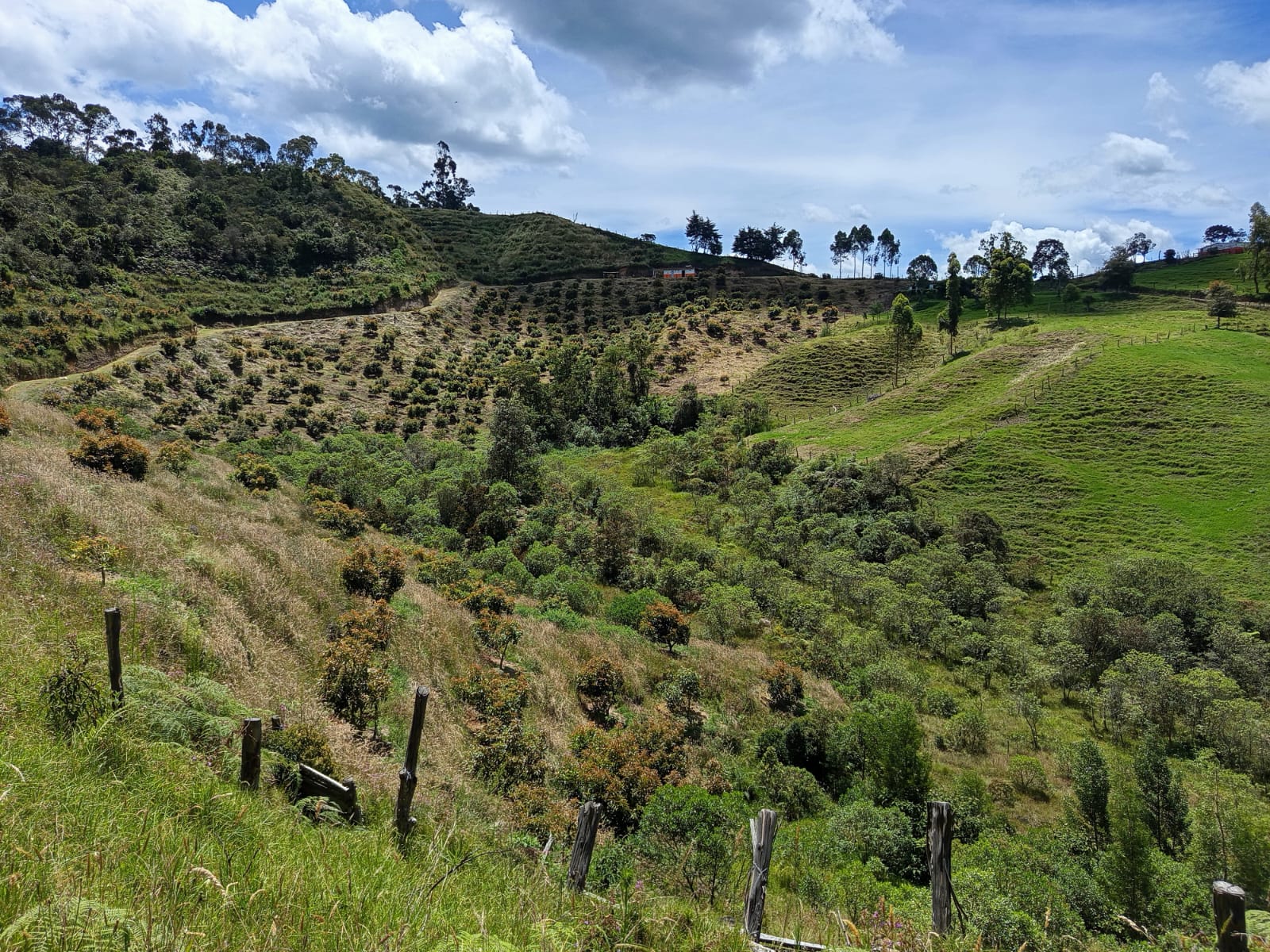 Aerial view of Don Matías estate